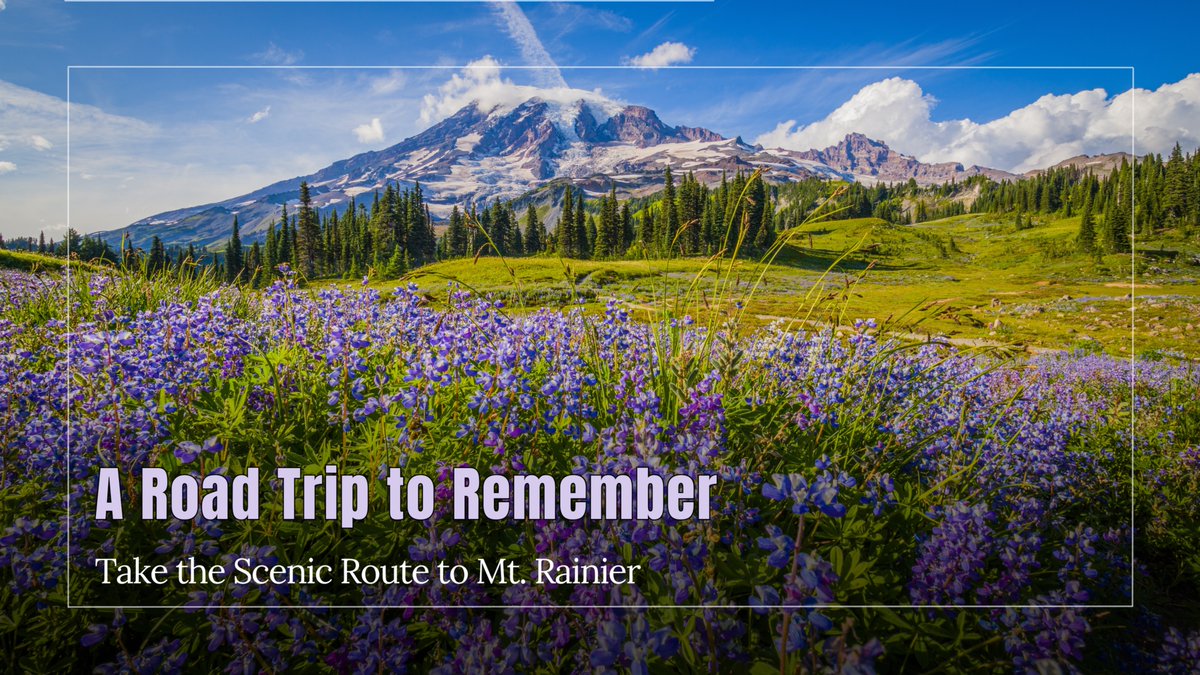 The long way is the best way! Waterfalls, Bavarian bites, and epic mountain views – this scenic loop around Mt. Rainier is worth every mile. 🚗🏔️Details here ➡️tinyurl.com/bnx33ffv

#GoRoadTravel #Travel #MountRainier