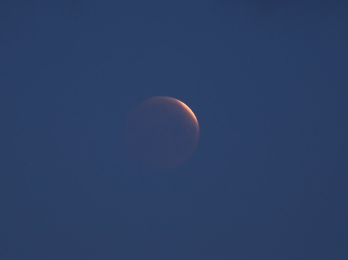 Gerry O'Donnell (@gerryodonnell0) on Twitter photo Clouds finally cleared to give a nice view of the total lunar eclipse and the eagerly awaited blood moon.
<a href="/CarlowWeather/">Carlow Weather</a> <a href="/barrabest/">Barra Best</a> #bloodmoon #lunareclipse2025 Clouds finally cleared to give a nice view of the total lunar eclipse and the eagerly awaited blood moon.
<a href="/CarlowWeather/">Carlow Weather</a> <a href="/barrabest/">Barra Best</a> #bloodmoon #lunareclipse2025