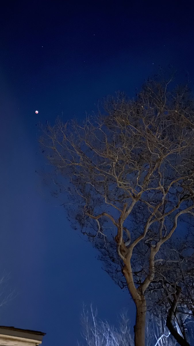 Blood moon! #TotalLunarEclipse