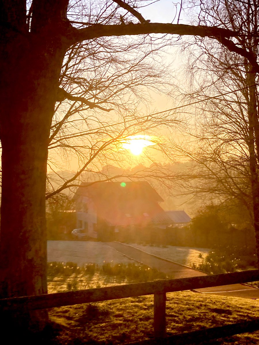 Classics/TPE at Castle Court Prep (@castlecourtclas) on Twitter photo The early bird catches the worm!*. Stunning views shortly after sunrise over the DT Centre this morning. It’s Open Day today from 0930-1100 - come and join us! <a href="/CastleCourtPrep/">Castle Court School</a> (* The second mouse gets the cheese…) The early bird catches the worm!*. Stunning views shortly after sunrise over the DT Centre this morning. It’s Open Day today from 0930-1100 - come and join us! <a href="/CastleCourtPrep/">Castle Court School</a> (* The second mouse gets the cheese…)