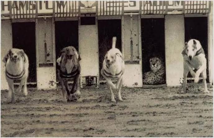 Bazen Kendini Kanıtlamaya Çalışmak Kendine Hakarettir