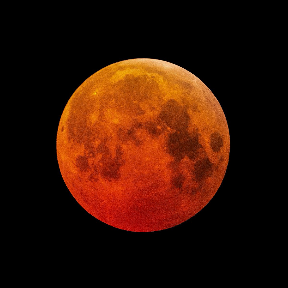 2:58 am - Maximum eclipse and the deepest red you’ll see. Totality will end at 3:31 am. What a beauty!