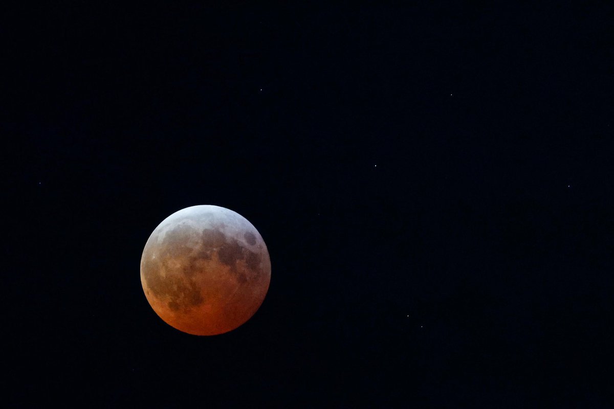 ¡Es hermoso! 😍 

🌖 Así de espectacular se ve el #EclipseLunar, fenómeno que también es conocido como la “Luna de Sangre”, desde la Ciudad de México.

📸 #FOTOS: Diego Simón Sánchez y Hugo Salvador | EL UNIVERSAL