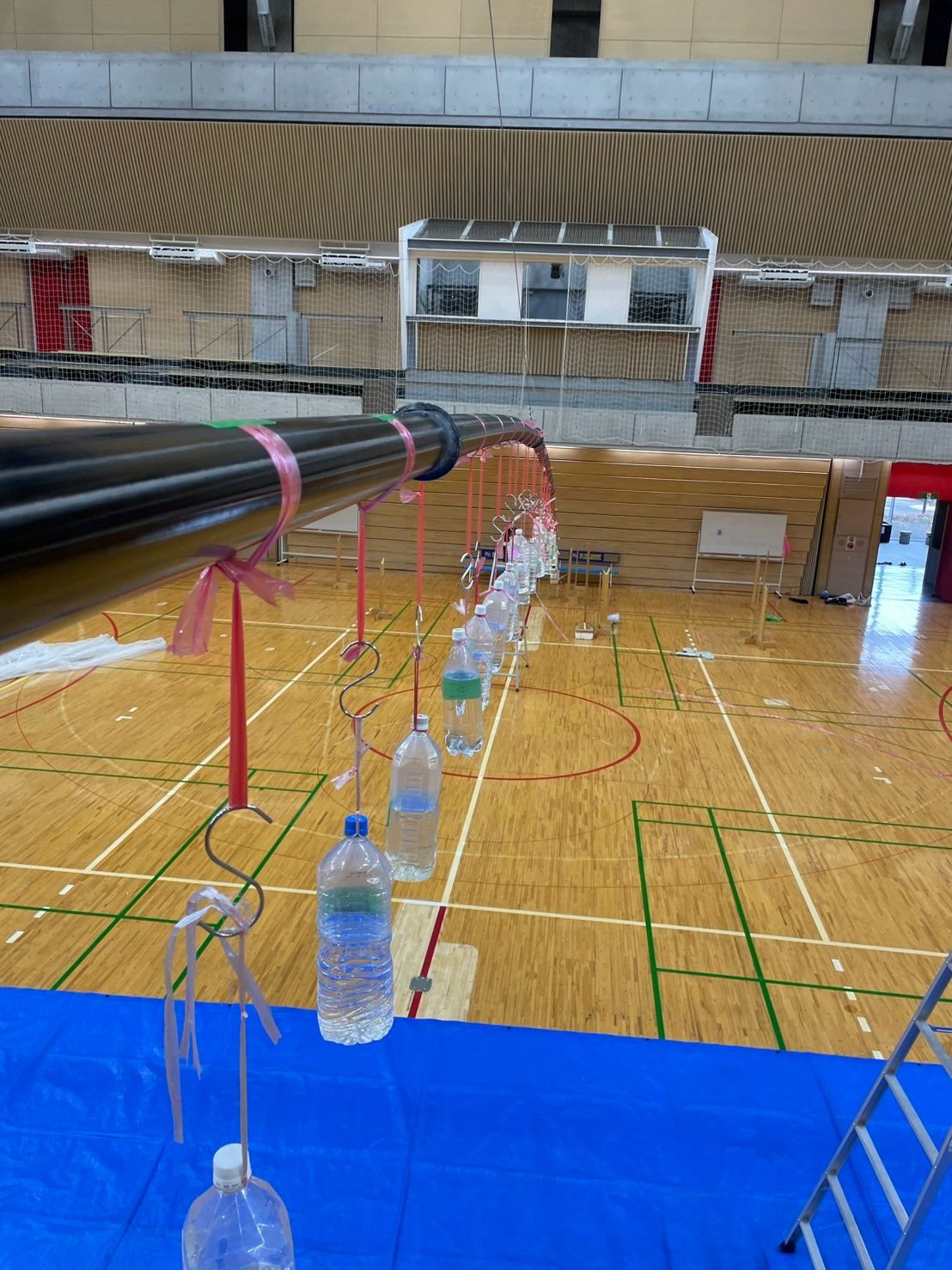 人間の運動学