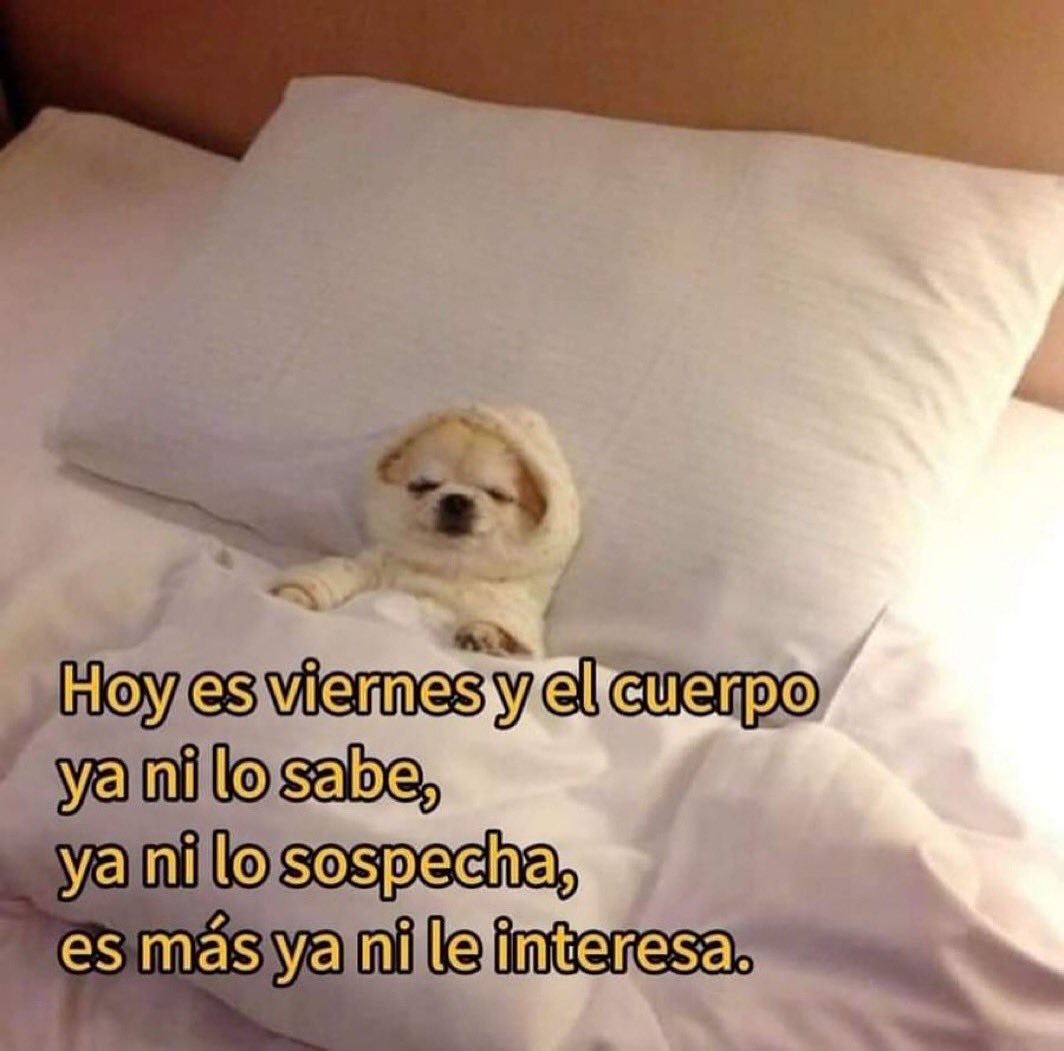 En Júpiter (@en_jupiter_) on Twitter photo 