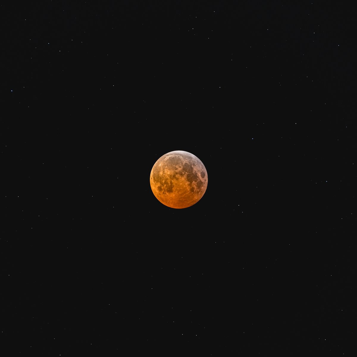 MAXIMUM TOTALITY — This morning’s stunning lunar eclipse against a field of stars!
