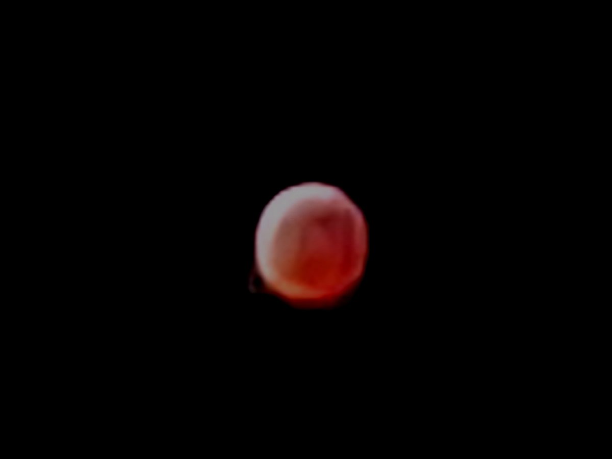 Total Lunar Eclipse from Abbotsford BC