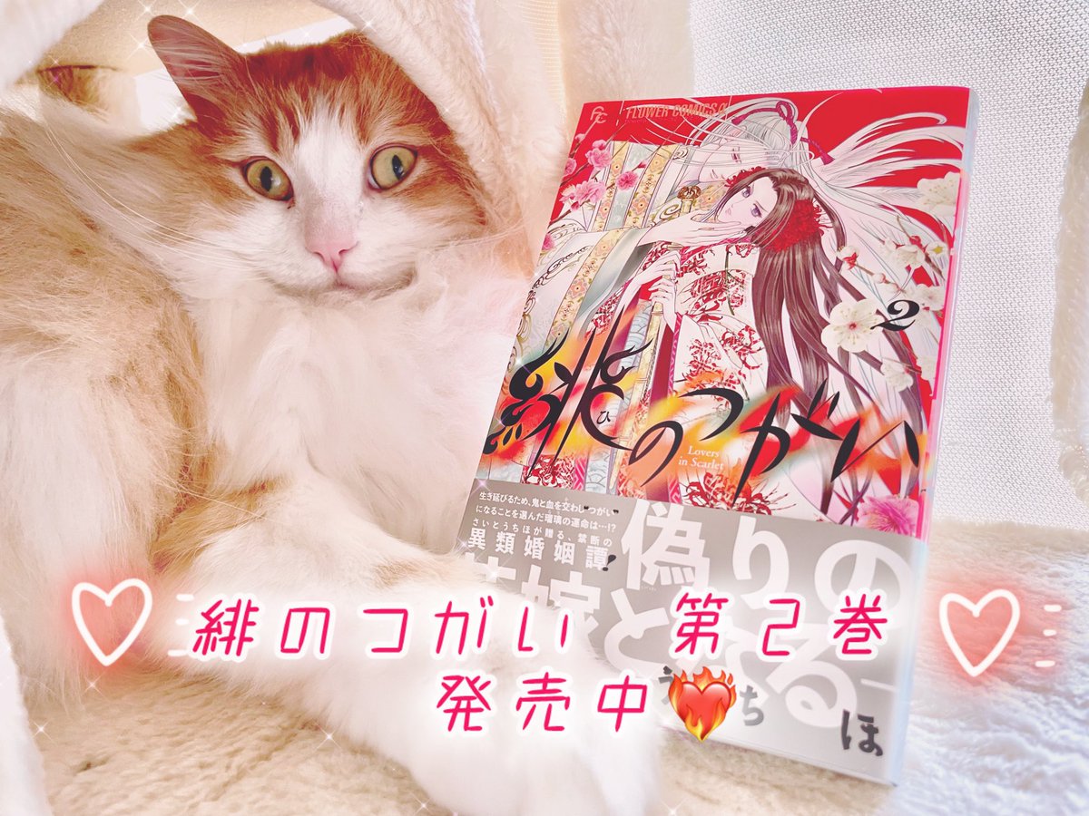 さいとう ちほ Chiho Saito (@chihochat) / X
