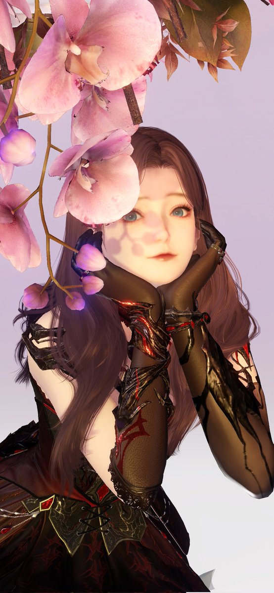 LValkyrie12's tweet photo. @rafspalette Derp https://t.co/6ia6DNeJC9