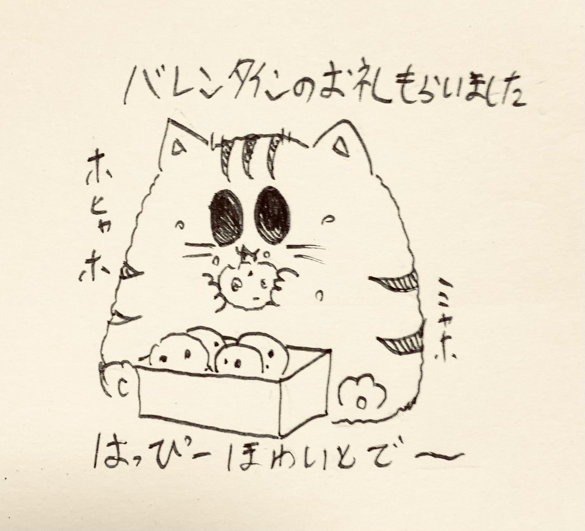 ホワイトデーを楽しむもち虎さん🐯 