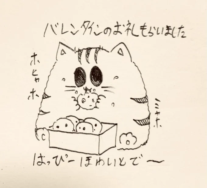 ホワイトデーを楽しむもち虎さん🐯 