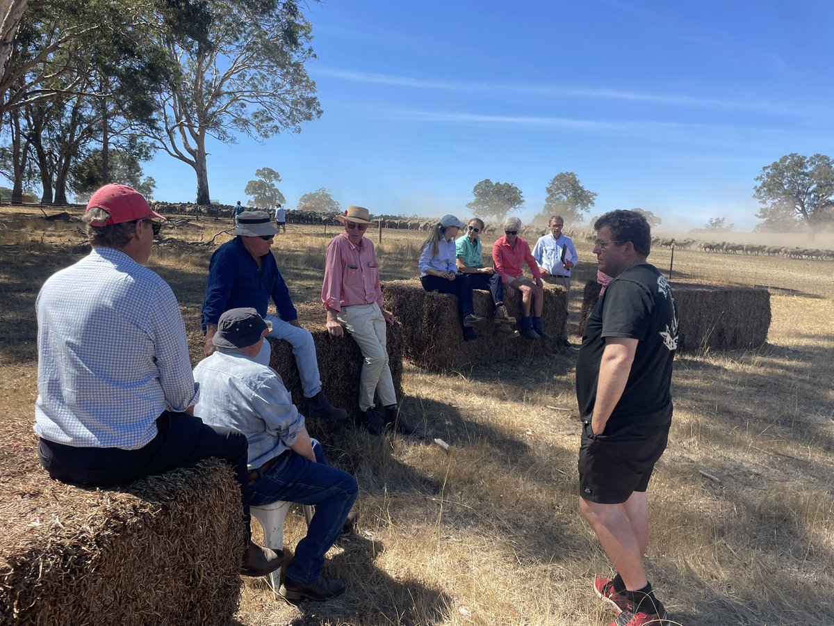 A great day in Cavendish put on by <a href="/EldersLimited/">Elders</a> Hamilton, with <a href="/AndrewBouffler/">Trigger Vale Studs - Andrew Bouffler</a> from Triggervale as key speaker talking all things Modern merino and how there are plenty of opportunities that are on offer in a modern breeding objective.  Followed by on farm tour at home