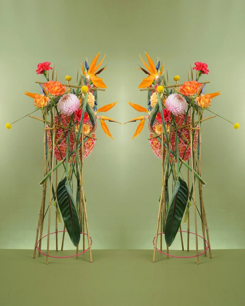 MarkPampling's tweet image. Another design from my time with ‘Friday Flower Fix’ (part of  NAFAS UK) - sharing how I approach simple structures. 
.
#floraldesign #floralart #floralcraftsmanship #strelitziareginae #nafas #fridayflowerfix #inspiration #floraldesigninspiration #floraldesigner #masterflorist