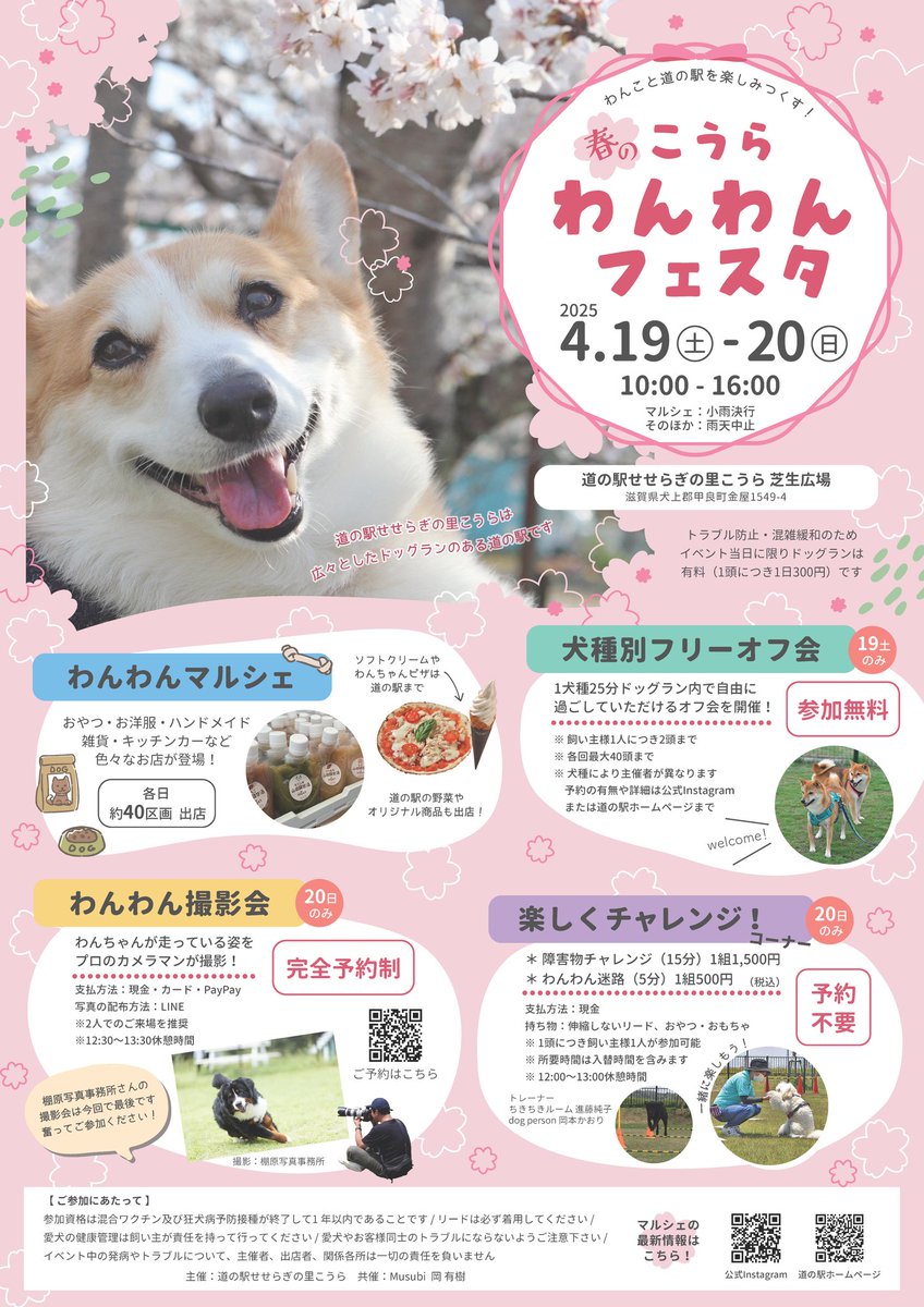 kouramichinoeki's tweet photo. この春も開催します🐶
『春のこうらわんわんフェスタ』
4月19日（土）、20日（日）の2日間です✨
尚、わんわんフェスタ開催中の2日間はドッグランは有料となります。ご理解ご協力よろしくお願いします🐶
#道の駅せせらぎの里こうら
#わんわんフェスタ https://t.co/z5u4OTRk6L