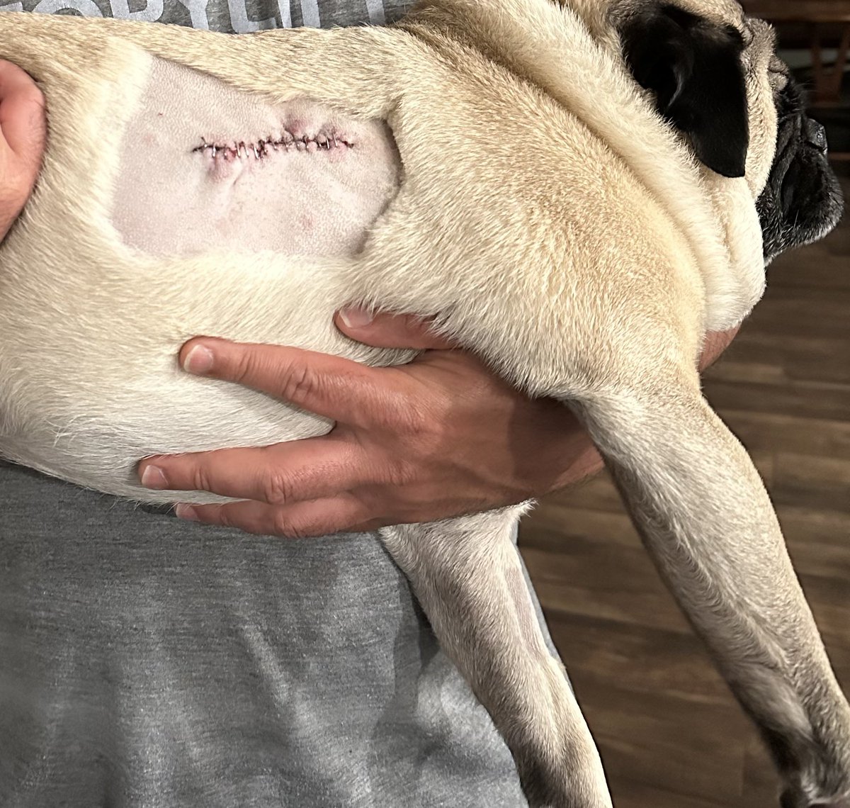 FRΞNCHIΞ tweet media