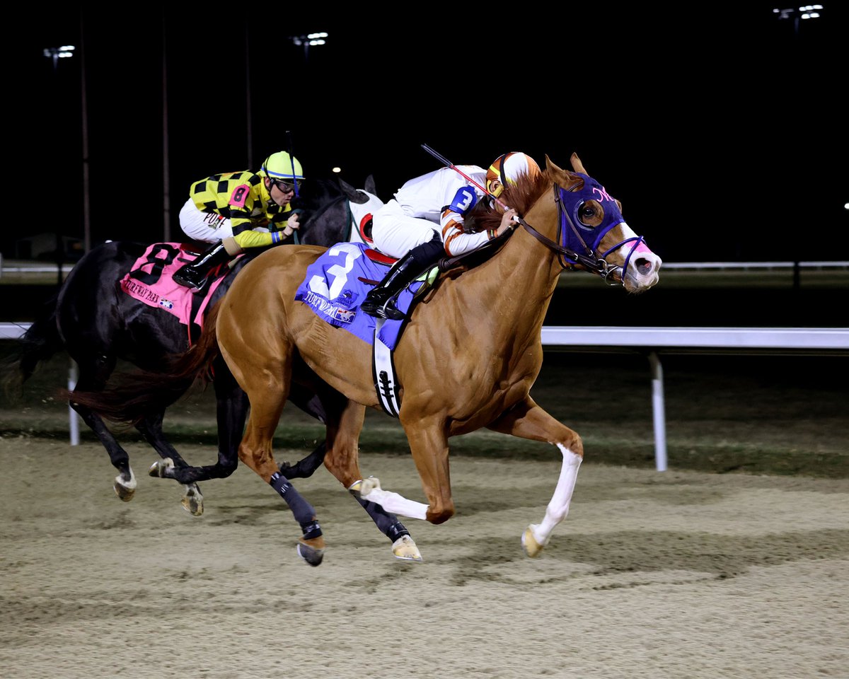 Huge congratulations to the connections of ALL JOKES ASIDE who won impressively tonight <a href="/TurfwayPark/">Turfway Park Racing & Gaming</a> under a perfect ride by Constantino Roman. AJA has now won 7 races with us - he’s truly as honest as they come! Thank you AJA and the entire AMR Team! #thepinkM 🙏🏼<a href="/KurtisCoady/">Kurtis Ryan Coady</a> 📸