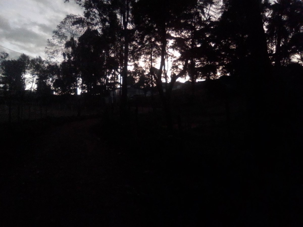 ChronixxonBash's tweet image. Beautiful Friday Morning.