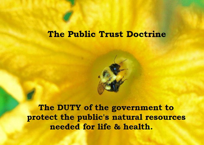 Restore the #EPA and fight for #EnvironmentalJustice. Our air, water, and soil belongs to all of us and must be protected!