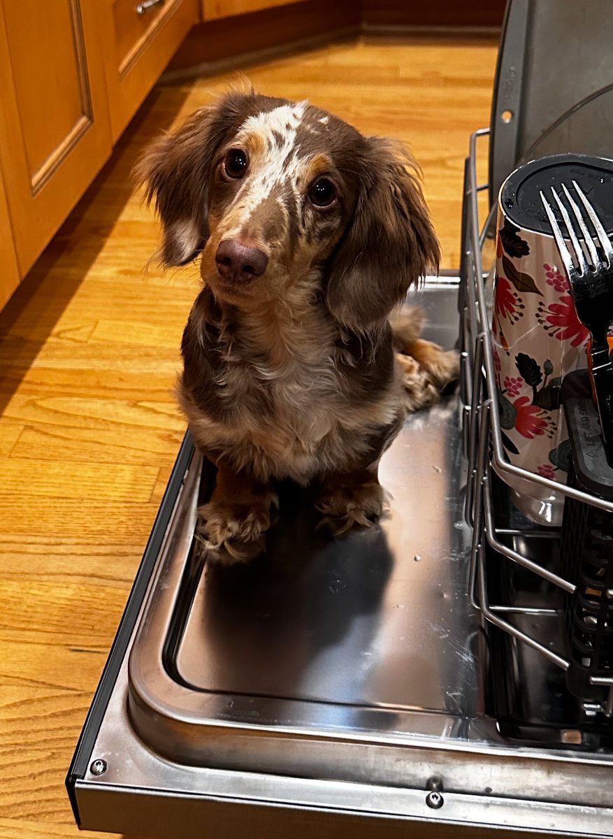 CINCofTheHouse (@cincofthehouse) on Twitter photo .<a href="/NHLBlackhawks/">Chicago Blackhawks</a> - “Frank” watching the game while “Stanley Cup” helps me finish the dishes during intermission! 😍 #HockeyFamily 🤣 .<a href="/NHLBlackhawks/">Chicago Blackhawks</a> - “Frank” watching the game while “Stanley Cup” helps me finish the dishes during intermission! 😍 #HockeyFamily 🤣