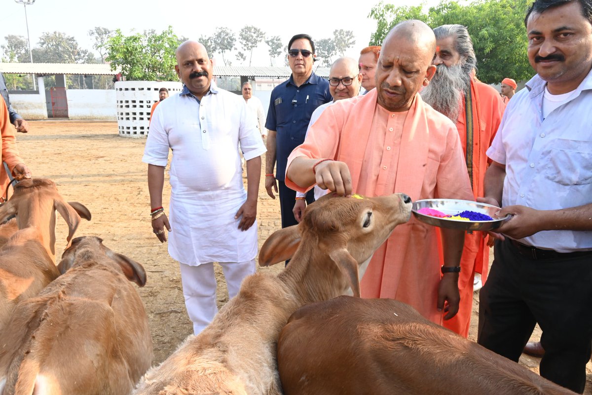 UPkesari's tweet image. #गोरखपुर में मुख्यमंत्री योगी आदित्यनाथ ने होली के अवसर पर मंदिर भ्रमण कर गायों को गुड चना खिला कर स्नेह दिया 
साथ ही मोर व बतख को भी अपना स्नेह दिया 
इस दौरान सीएम योगी ने गायों व बछड़ो को अबीर का तिलक लगाया 
@myogiadityanath #Gorakhpur #hoil #upnews