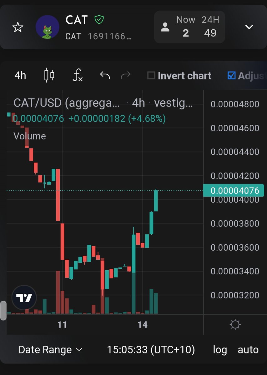 worqingonit's tweet image. 🐈