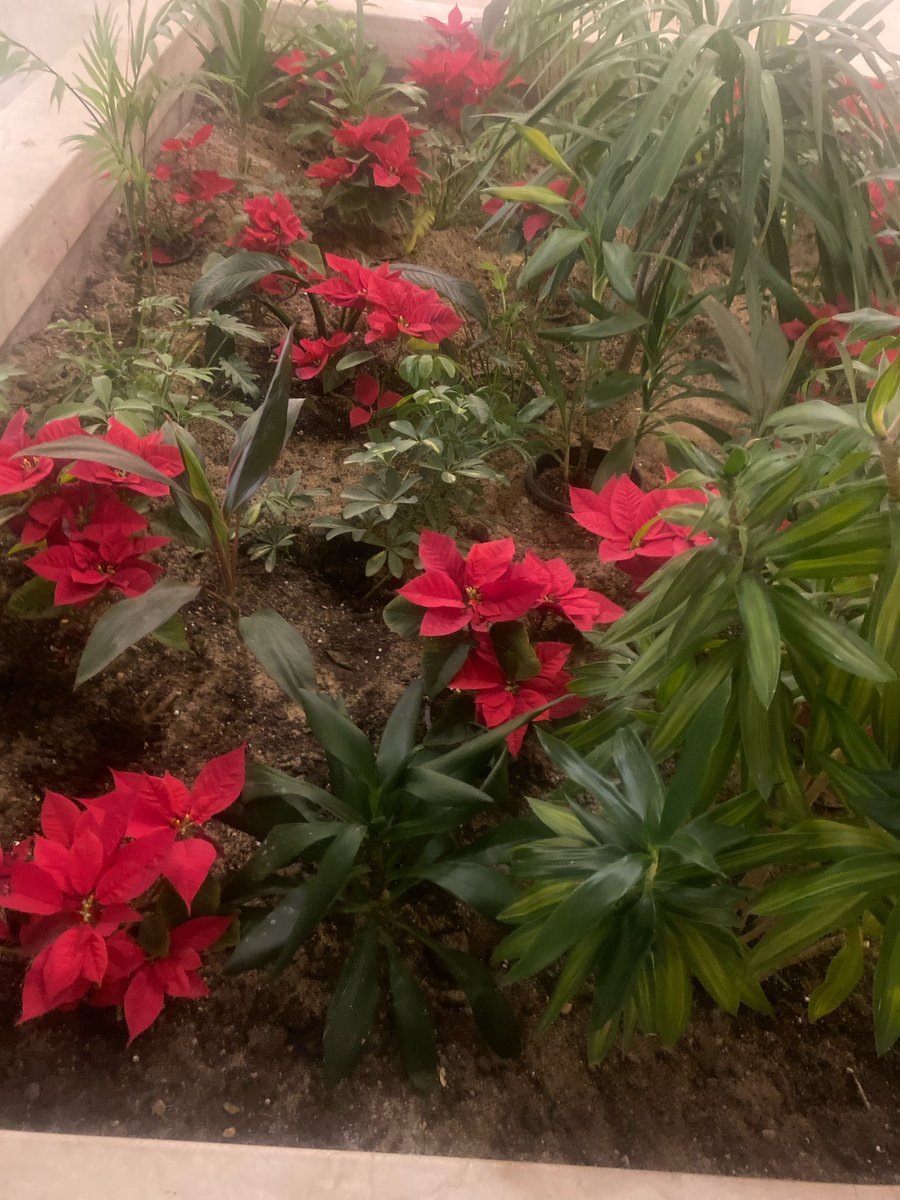 some random dude (@bebogotadhd) on Twitter photo 