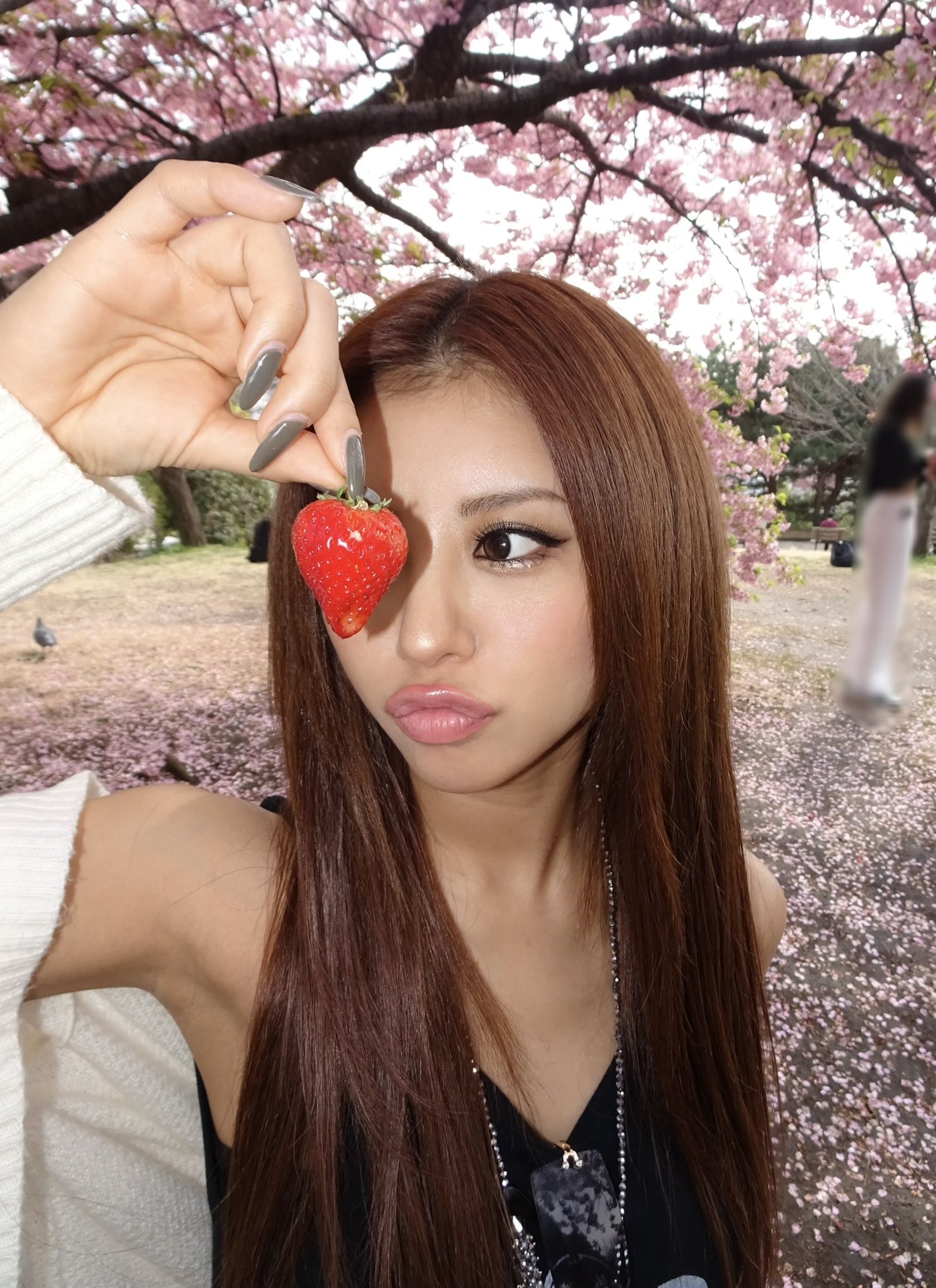 hana❁⃘*.゜ページ 𝐇𝐚𝐧𝐚❁⃘*.ﾟ | eat flowers? | Instagram