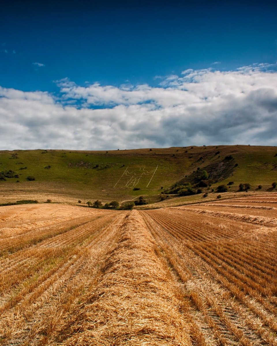 sdnpa's tweet image. The Long Man of Wilmington.

Did you know, during World War Two, to inhibit being used as a navigational landmark by enemy aircraft, the Long Man was painted green to camouflage it?

📷 Phil Clements

#SouthDowns #History #WorldWarTwo