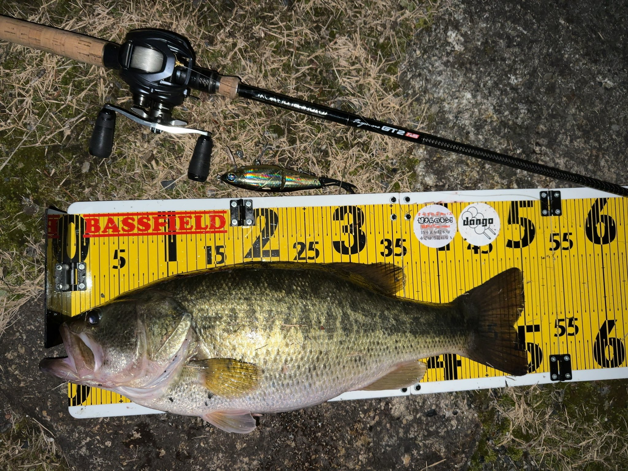 最終値下げ今週末取り下げます。ネコソギvg 楽天市場】ファットラボ ネコソギ VG メタザリ | 釣具 釣り