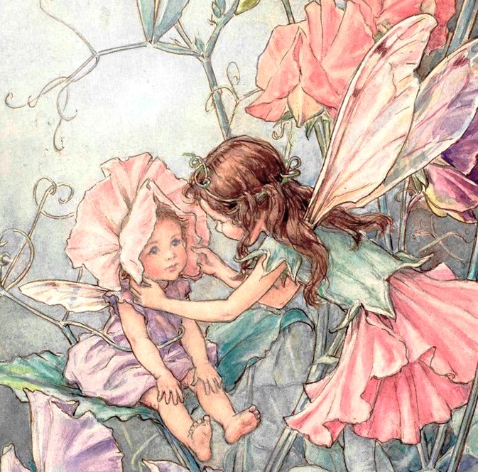 flower fairies by cicely mary barker 🌸