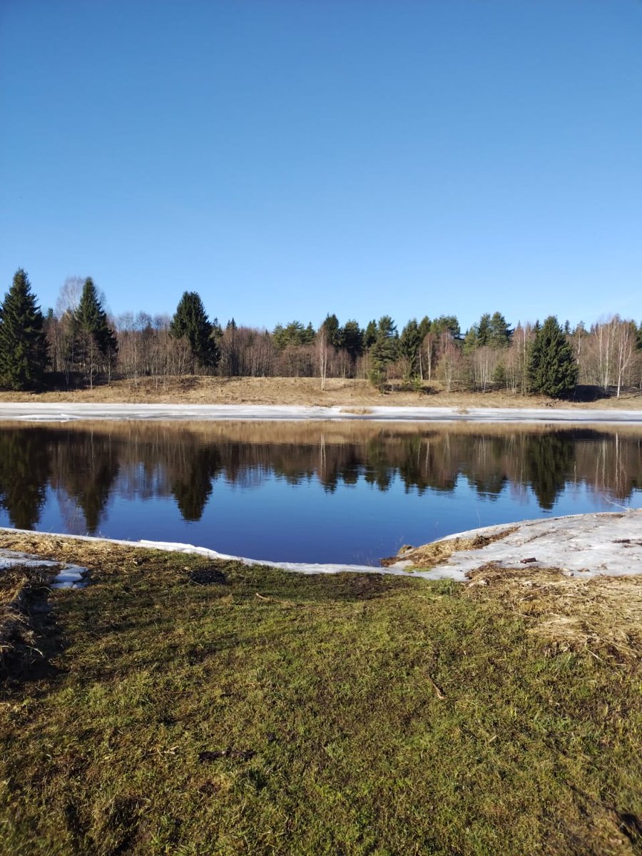 sofadupre's tweet image. Мать прислала тверские леса, соблазняет меня