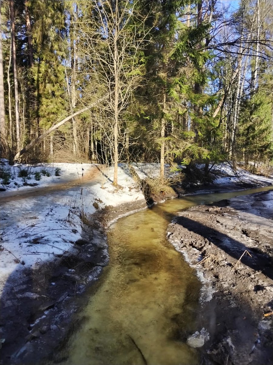 sofadupre's tweet image. Мать прислала тверские леса, соблазняет меня