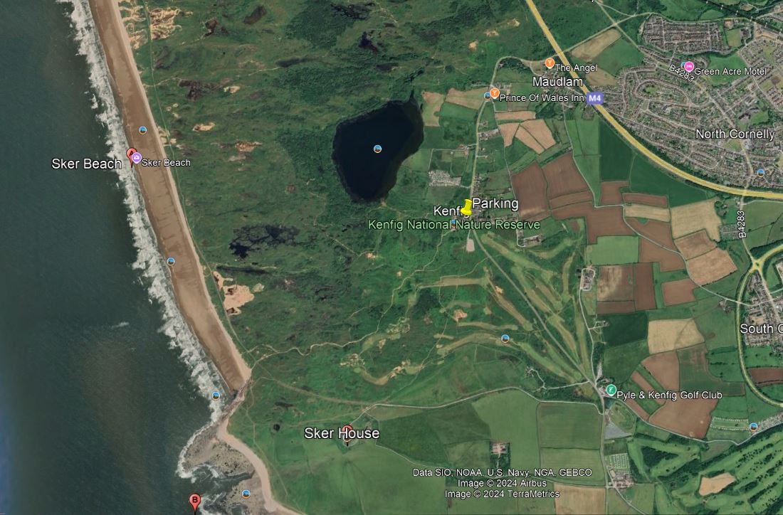 We have a field trip coming up this Sunday 16th March to Kenfig NNR meeting at 08:00am at the car park. Full details at the link below, including what birds we will be looking for: 

gowerbirds.org.uk/event/margam-m… 

#birdingwales