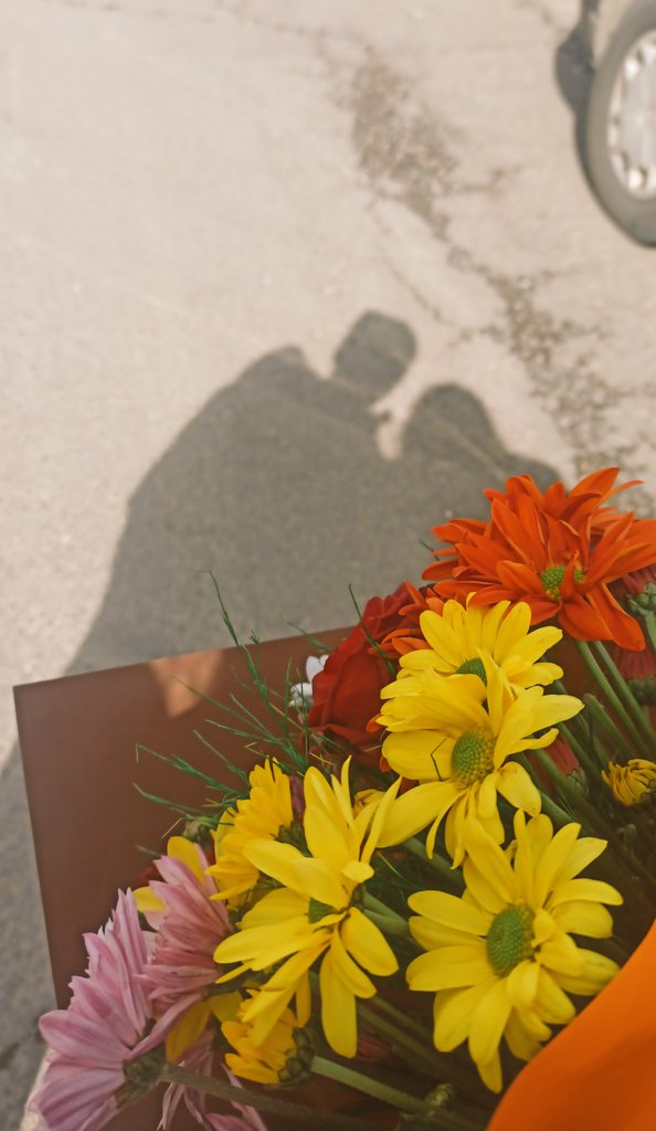 Çiçekli günler🫶🫶
<a href="/SilmarilF/">Cemilg</a>