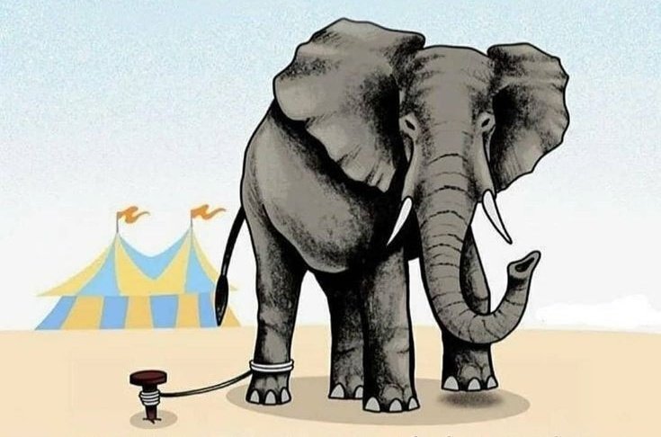 Bazen tek engelin kendi düşüncelerindir.
