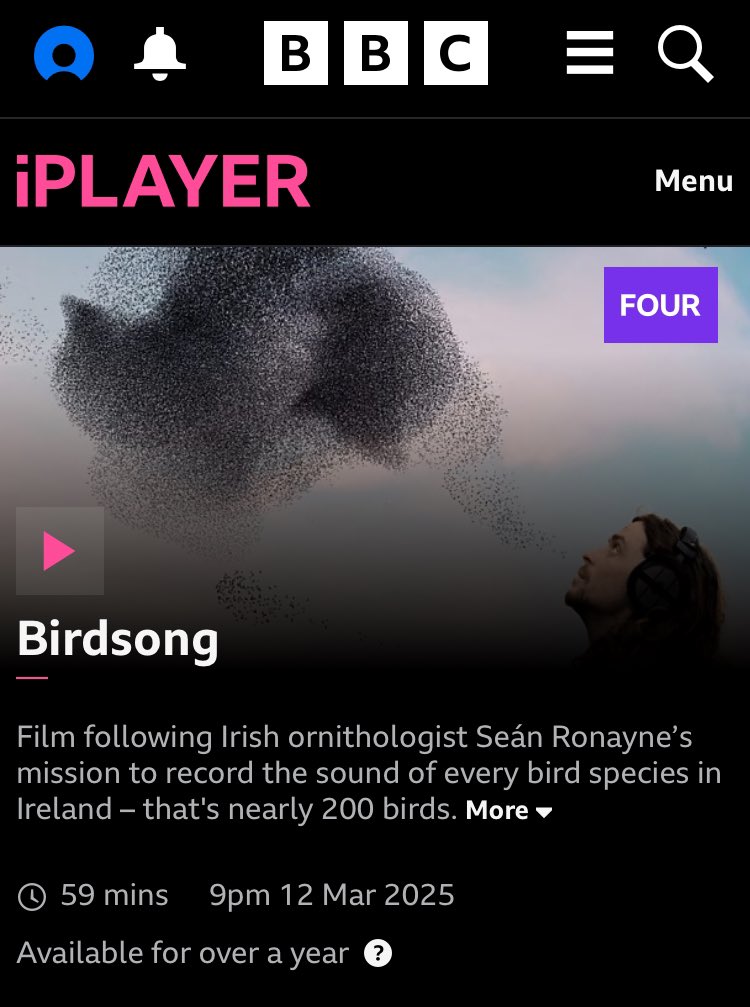 Global Birdfair (@globalbirdfair) on Twitter photo 📺 Tonight - 12 March
BBC4 9PM
Birdsong
U.K. Premiere was at Global Birdfair 2024
Thanks to <a href="/SoundsIrish/">Irish Wildlife Sounds (Seán Ronayne)</a>
🎶🎵🎶🎵
bbc.co.uk/iplayer/episod…
<a href="/StephenMoss_TV/">Stephen Moss</a> <a href="/MerlinBirdID/">Merlin Bird ID</a> <a href="/Natures_Voice/">RSPB</a> <a href="/RutWaterPark/">Rutland Water Park</a> <a href="/bbcemt/">BBC East Midlands</a> <a href="/BBCLeicester/">BBC Leicester</a> <a href="/WildlifeMag/">BBC Wildlife</a> 📺 Tonight - 12 March
BBC4 9PM
Birdsong
U.K. Premiere was at Global Birdfair 2024
Thanks to <a href="/SoundsIrish/">Irish Wildlife Sounds (Seán Ronayne)</a>
🎶🎵🎶🎵
bbc.co.uk/iplayer/episod…
<a href="/StephenMoss_TV/">Stephen Moss</a> <a href="/MerlinBirdID/">Merlin Bird ID</a> <a href="/Natures_Voice/">RSPB</a> <a href="/RutWaterPark/">Rutland Water Park</a> <a href="/bbcemt/">BBC East Midlands</a> <a href="/BBCLeicester/">BBC Leicester</a> <a href="/WildlifeMag/">BBC Wildlife</a>