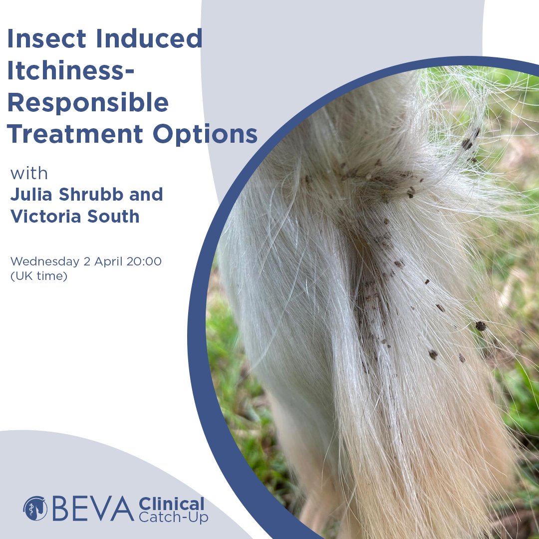 Don't miss our next Clinical Catch-Up with Julia Shrubb and Victoria South!

Join us to discuss responsible treatment options for insect induced itchiness on Wednesday 2 April.

⏰ 20:00 (UK time)
🔗 Book via bit.ly/3VJSY5E