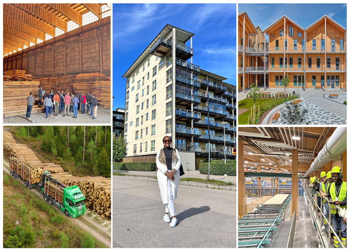 UNDP Kenya (@undpkenya) on Twitter photo Wood isn’t just history—it’s the future!
#Sweden is already using engineered wood in skyscrapers while #Zanzibar is building the world’s tallest timber tower.
Here is why <a href="/yvonnenyokabi/">Yvonne Nyokabi</a> is championing #GreenConstruction in #Kenya: undp.org/kenya/stories/… Wood isn’t just history—it’s the future!
#Sweden is already using engineered wood in skyscrapers while #Zanzibar is building the world’s tallest timber tower.
Here is why <a href="/yvonnenyokabi/">Yvonne Nyokabi</a> is championing #GreenConstruction in #Kenya: undp.org/kenya/stories/…