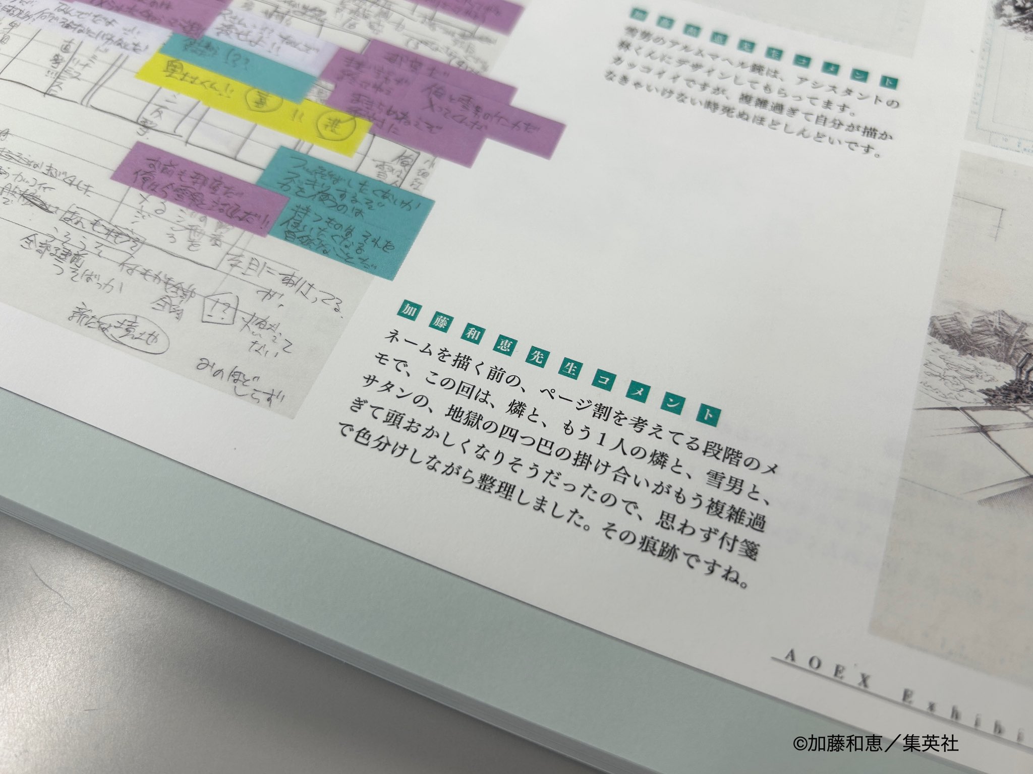 加藤和恵 on X: 
