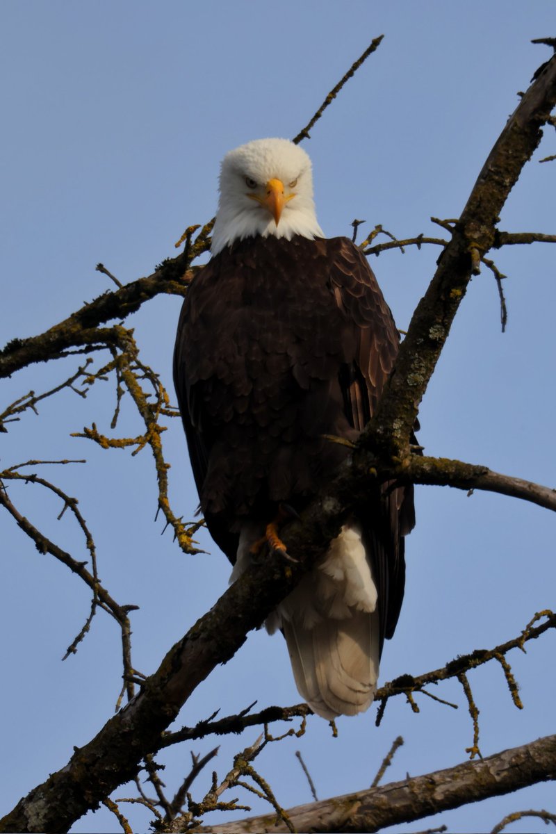 What are you up to down there...