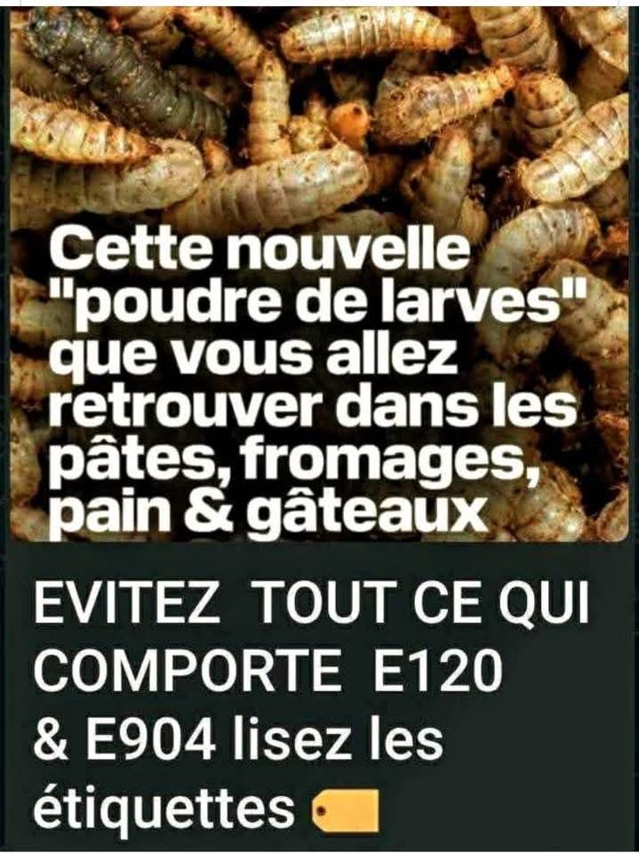 ⚠️ ⚠️ ⚠️ ⚠️ ⚠️ j'en avais parlé  attention ⚠️ ⚠️ ⚠️ aux  étiquettes, tout ce qui comporte E 120 &amp; E 904  sont  a  bannir