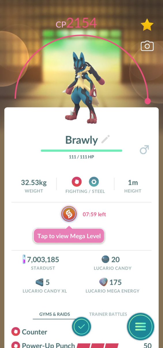 got it yay! #MegaLucario #PokemonGO