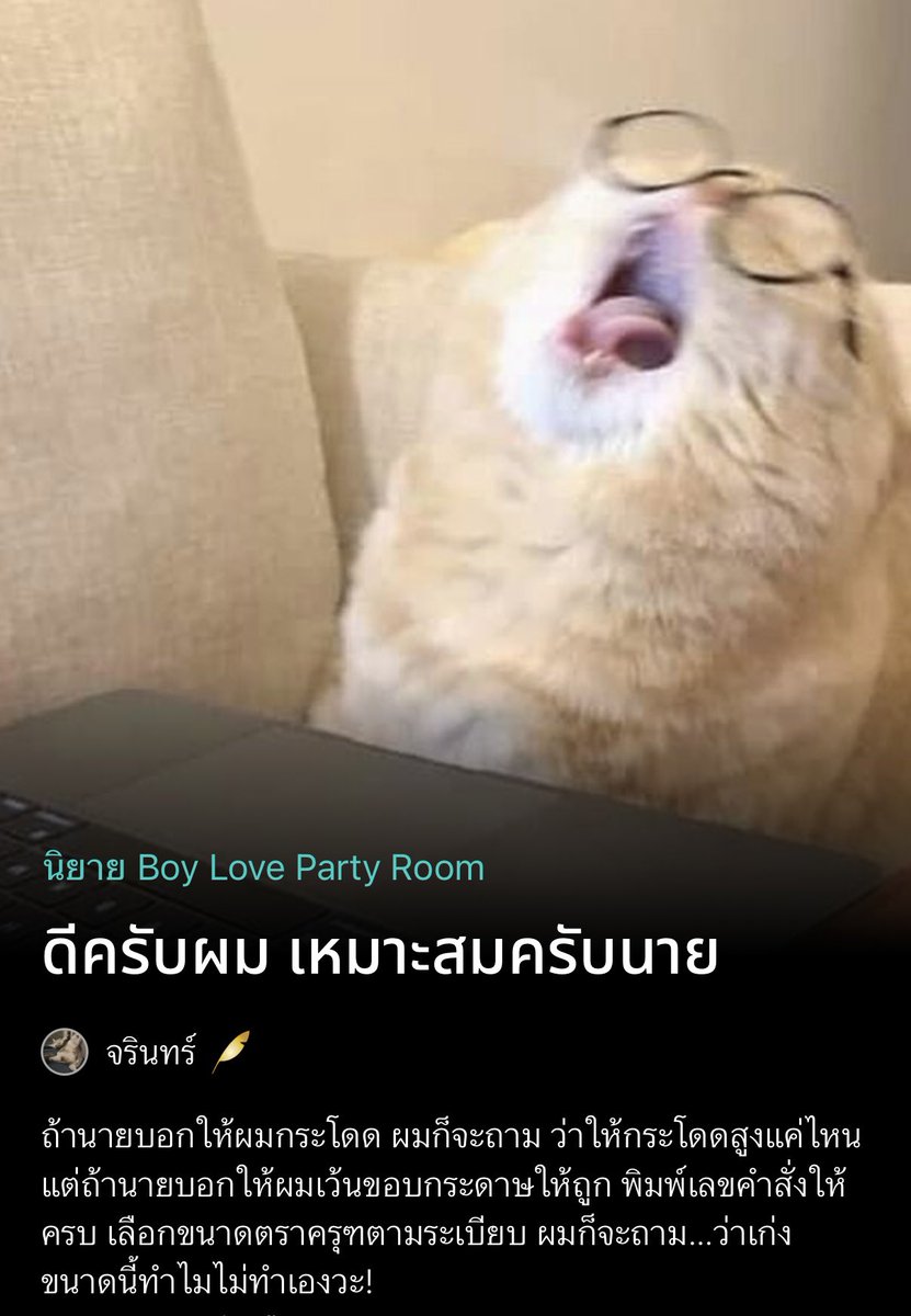 jarin (slow) 🍅 tweet media