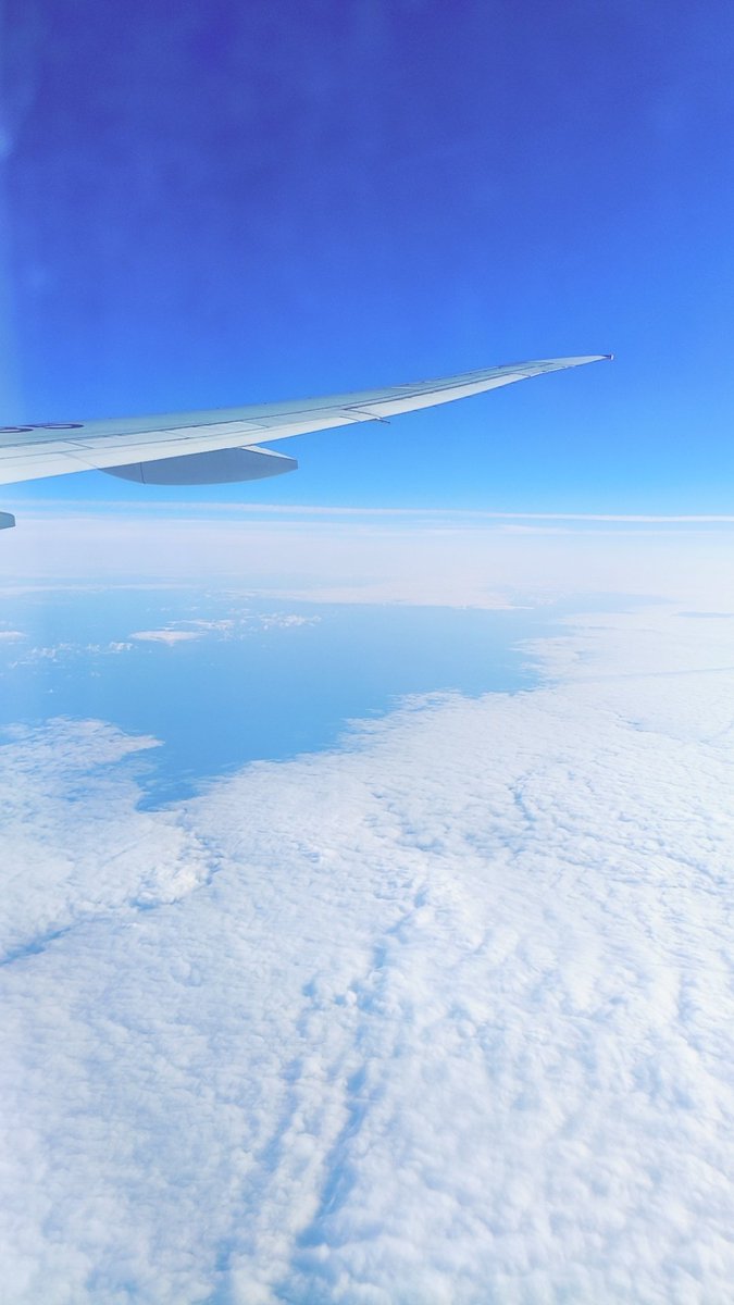 PsychWellMaster's tweet image. 回去了 又回来了