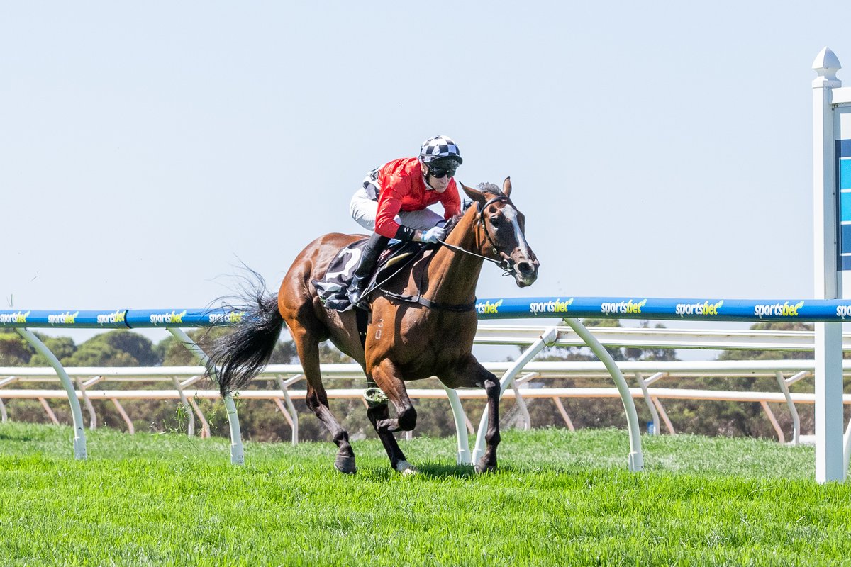 Aaron Bain Racing (@aaronbainracing) on Twitter photo Aaron Bain Racing unveiled a talented staying prospect when Beach Pad returned to the winning list at Strathalbyn on Wednesday, March 12.
After settling third last in the field of 12, Beach Pad, trained by Aaron Bain & Ned Taylor, rounded up his rivals comfortably and raced away Aaron Bain Racing unveiled a talented staying prospect when Beach Pad returned to the winning list at Strathalbyn on Wednesday, March 12.
After settling third last in the field of 12, Beach Pad, trained by Aaron Bain & Ned Taylor, rounded up his rivals comfortably and raced away