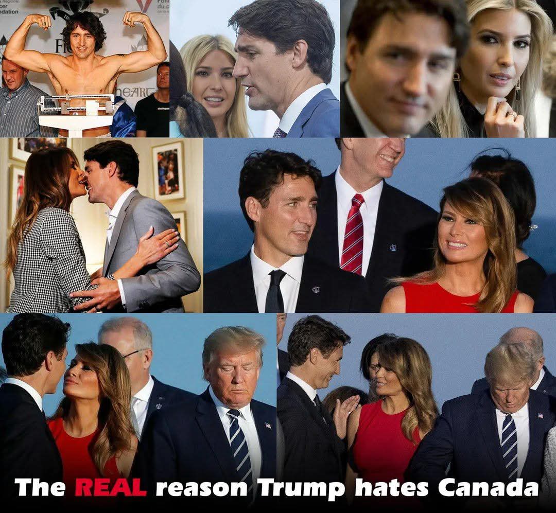 Gl0jZ14WIAAT0Wg?format=jpg&name=medium