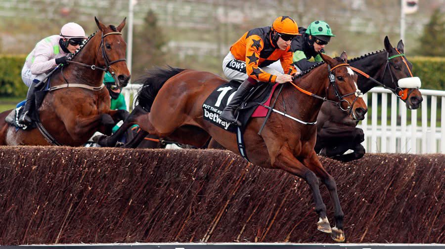 DahlBury | Bloodstock & Racing tweet media