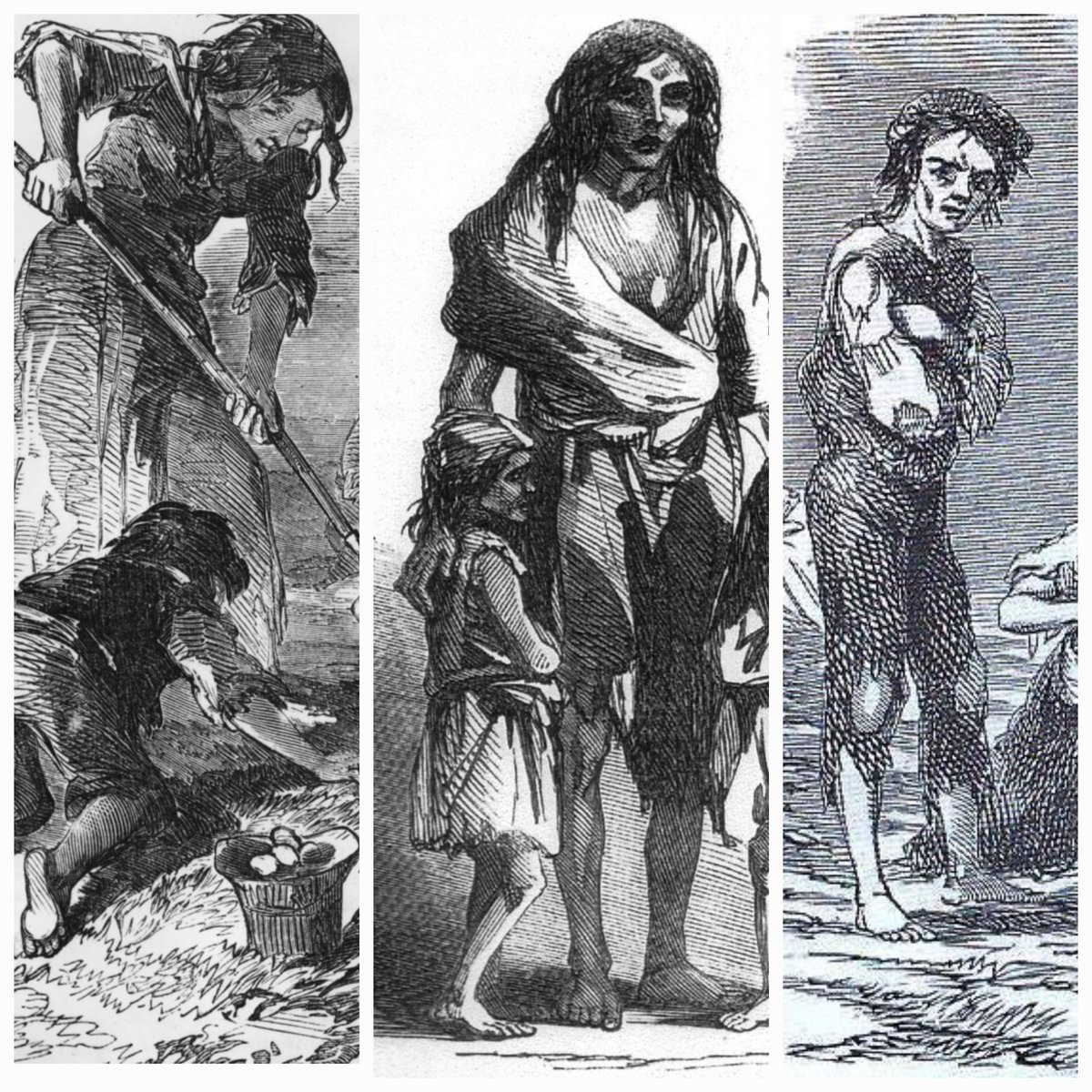 William Dalrymple (@dalrymplewill) on Twitter photo New from <a href="/EmpirePodUK/">Empire Podcast</a>:
Our series on Empire & Ireland continues-
THE GREAT HUNGER-
Part one- The Arrival of the Potato Blight
With the great Colum Toibin New from <a href="/EmpirePodUK/">Empire Podcast</a>:
Our series on Empire & Ireland continues-
THE GREAT HUNGER-
Part one- The Arrival of the Potato Blight
With the great Colum Toibin