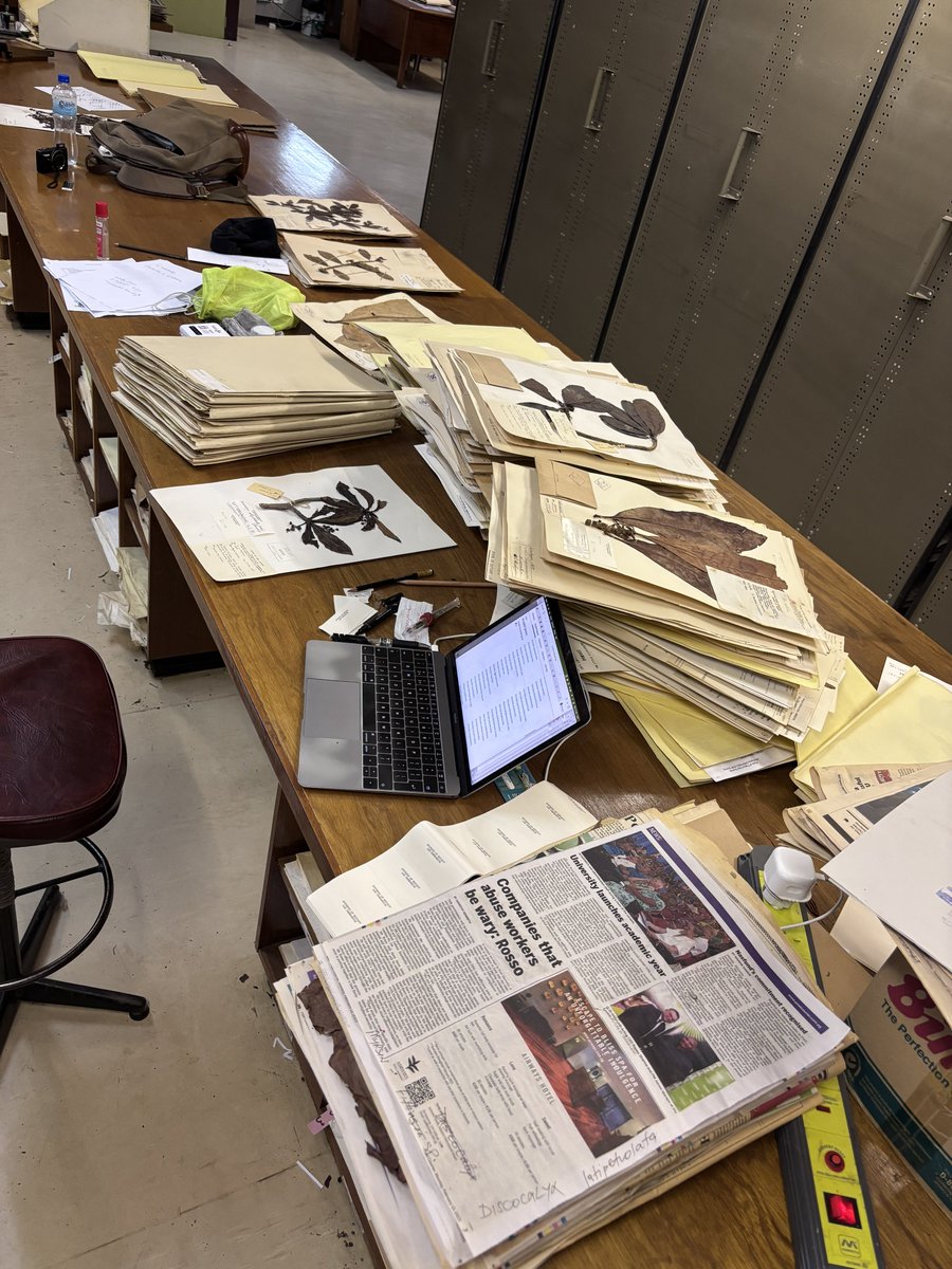 Dr Timothy Utteridge tweet media