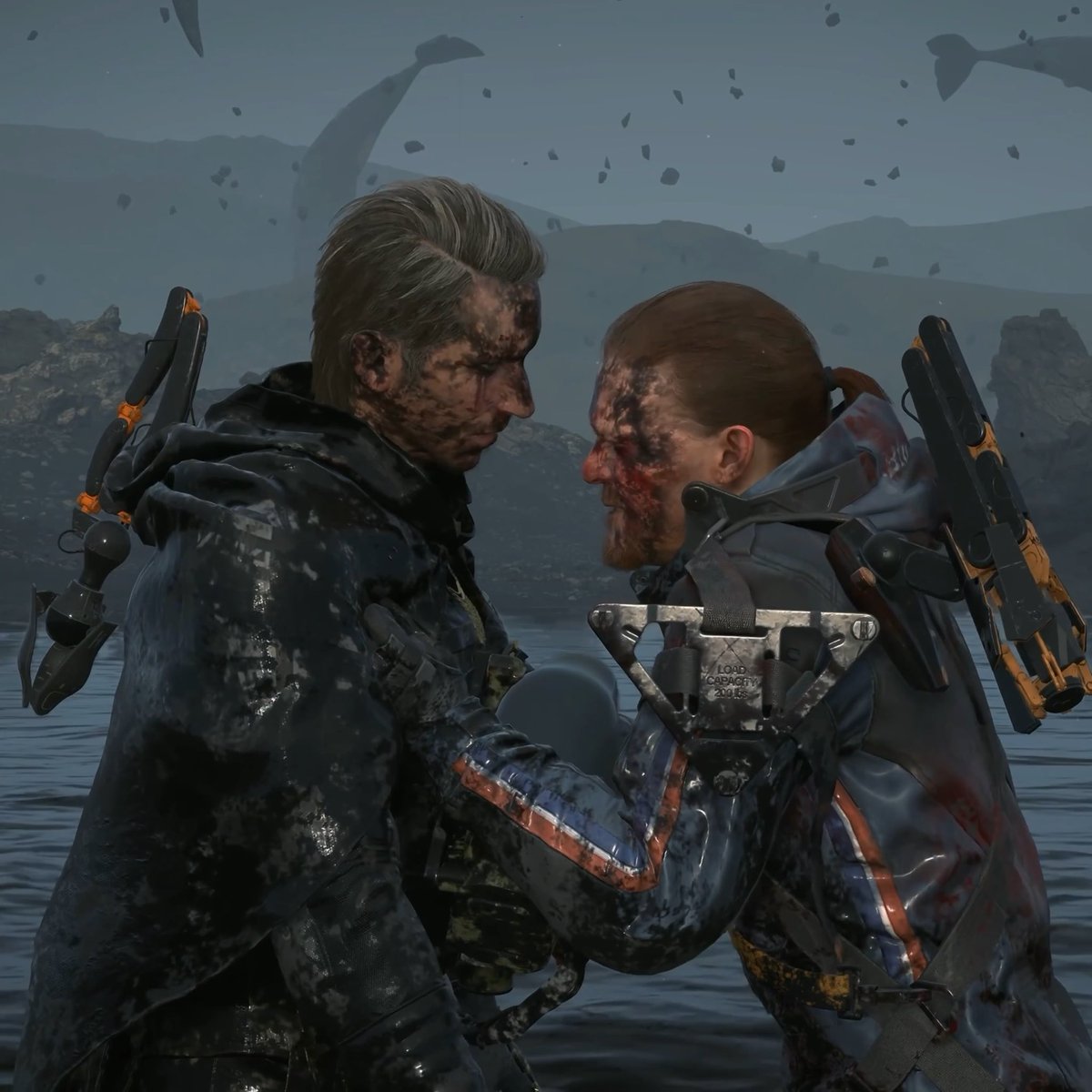 hourly higgs monaghan tweet media